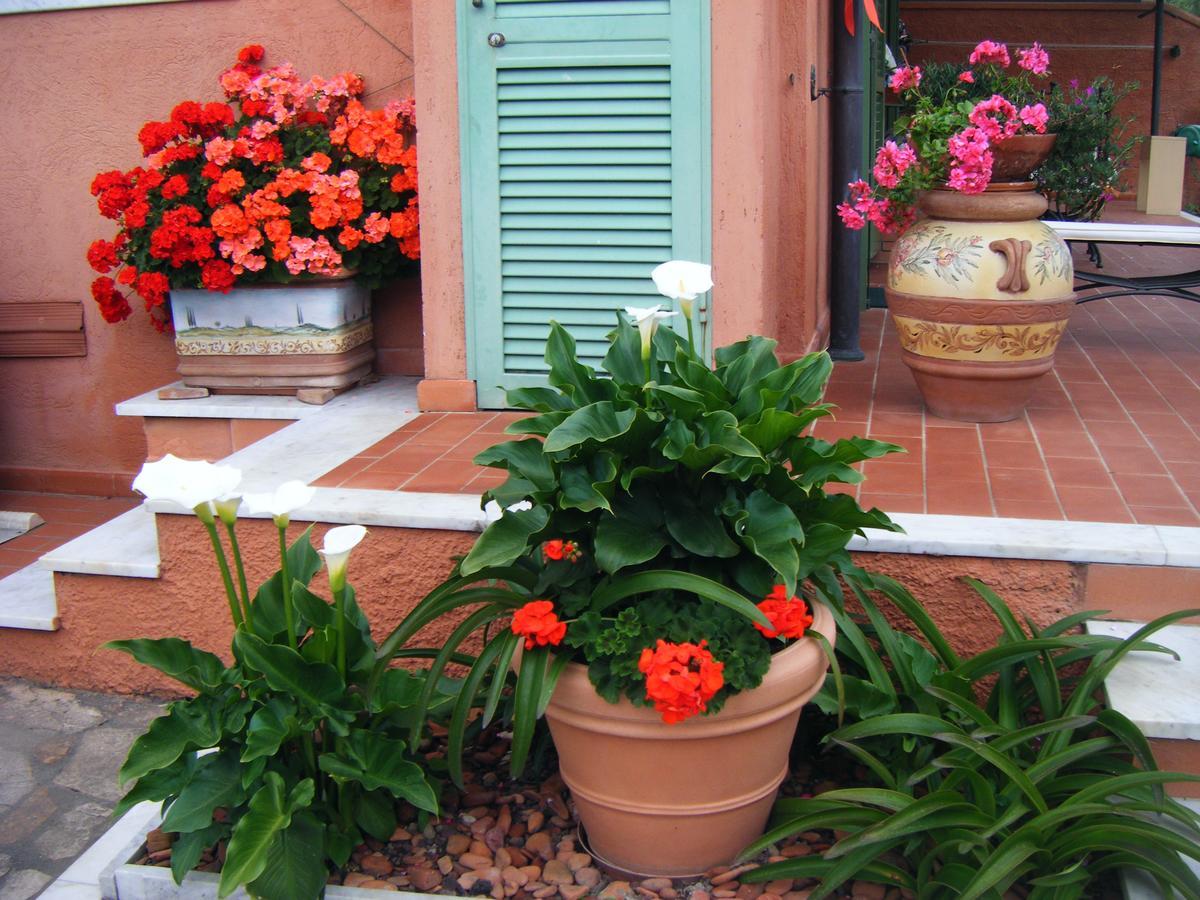 Giusy Bed And Breakfast Marina Di Carrara Exterior photo