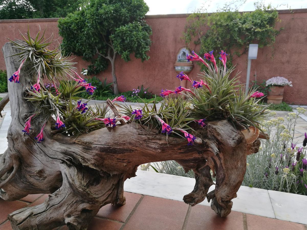 Giusy Bed And Breakfast Marina Di Carrara Exterior photo
