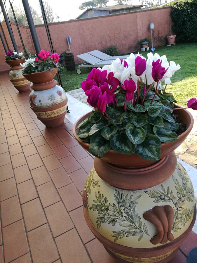 Giusy Bed And Breakfast Marina Di Carrara Exterior photo